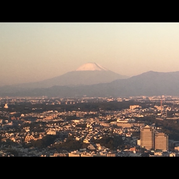 Meet your Posher, Joey - Picture 5 of 8